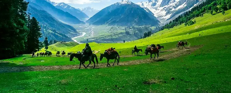 5 Days Best Of Kashmir Family Tours