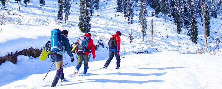 5 Days Kashmir Honeymoon Package with Pahalgam